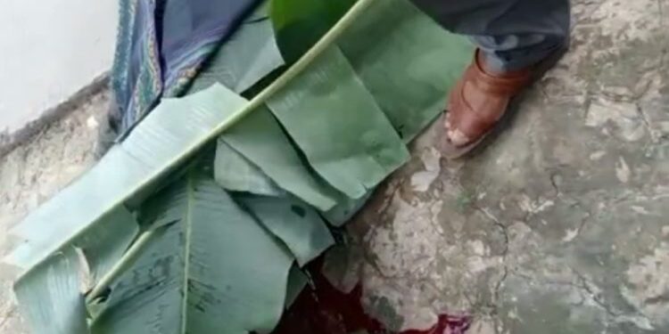 Kecelakaan Tunggal, Pengemudi Sepeda Motor Jatuh dan Tewas Ditempat