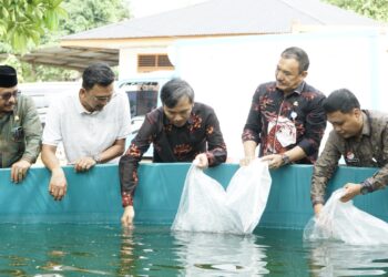 Ketua DPRD Jambi Serahkan 40 Ribu Bibit Ikan Lele Kepada Pokdakan di Tehok.