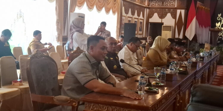 Waka II DPRD Provinsi Jambi Minta DPD RI Perkuat Kewenangan Daerah dalam Revisi UU Pemerintahan Daerah